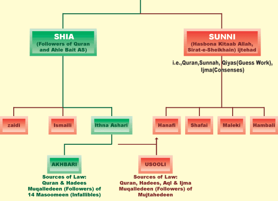Shia Sunni Differences Chart